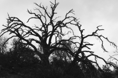 All Hallows’ Eve