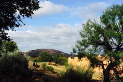 Enchanted Rock Vista