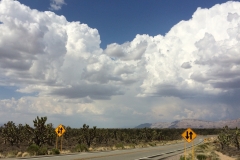 Joshua Tree Highway
