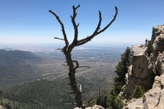 Hallowed Views